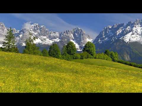 Recommendation - Thich Nath Hanh